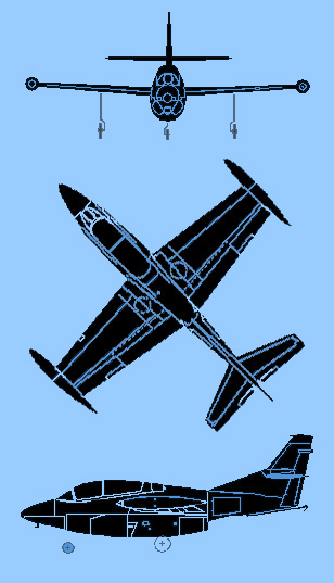 T2a