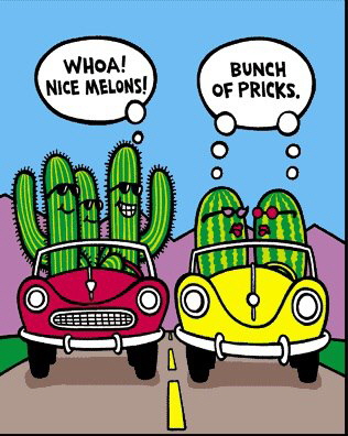 Nice Melons