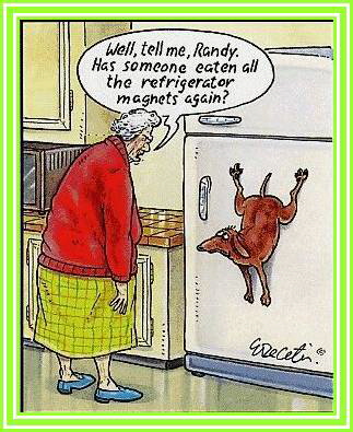 Refrig Magnets